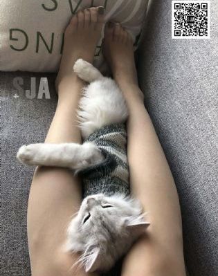 猫眼看人_HDHD在线观看